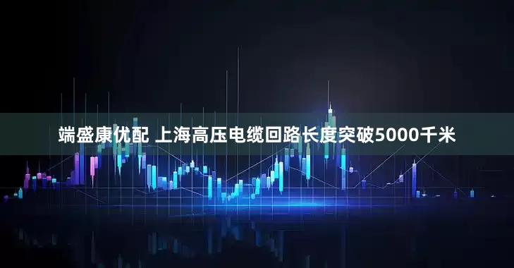 端盛康优配 上海高压电缆回路长度突破5000千米