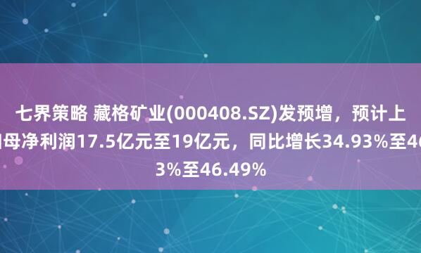 七界策略 藏格矿业(000408.SZ)发预增，预计上半年归母净利润17.5亿元至19亿元，同比增长34.93%至46.49%