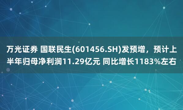 万光证券 国联民生(601456.SH)发预增，预计上半年归母净利润11.29亿元 同比增长1183%左右