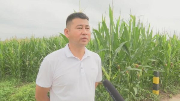 佳荣网配 宿州市埇桥区：兵支书“种”出集体经济百万金