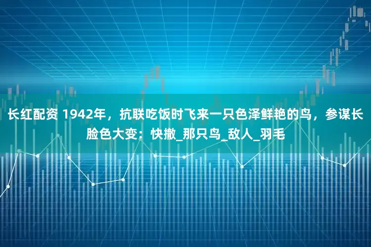长红配资 1942年，抗联吃饭时飞来一只色泽鲜艳的鸟，参谋长脸色大变：快撤_那只鸟_敌人_羽毛