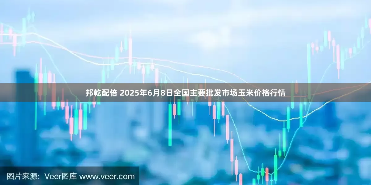 邦乾配倍 2025年6月8日全国主要批发市场玉米价格行情